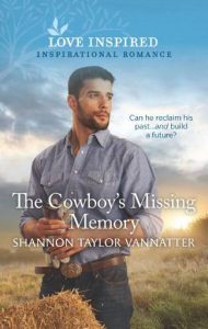 The Cowboy's Missing Memory